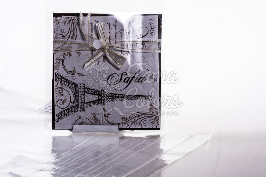 Bolsa Plana (con sello lateral)